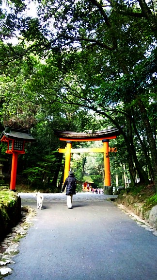 ふゆ宇佐神宮